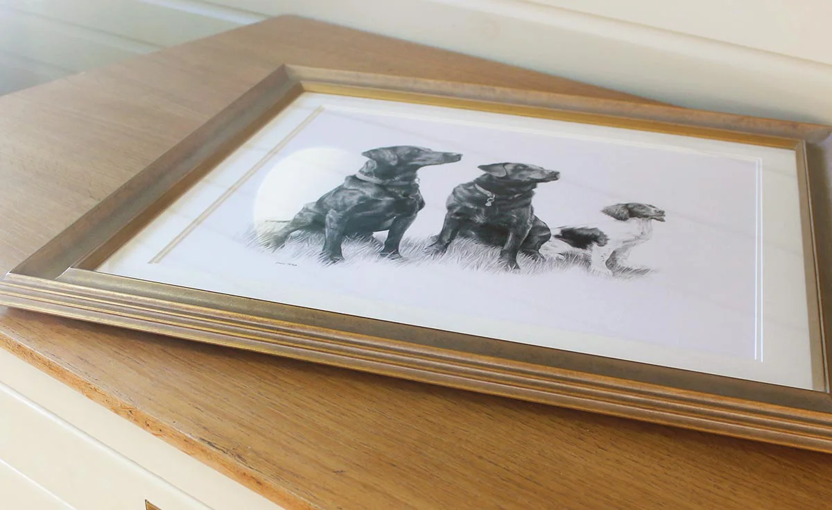 Framed pencil portrait of a Black Labrador, showcasing the finished artwork.
