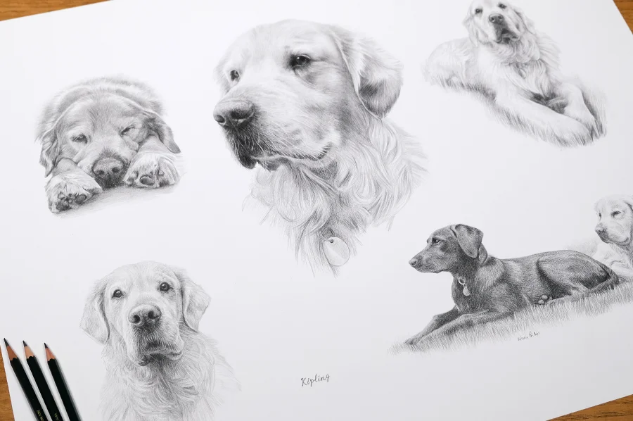 Example of a life story pencil portrait artwork.