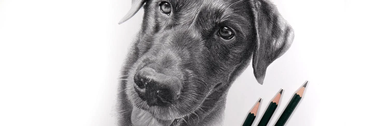 Woman photographing a dog for a pet portrait commission.