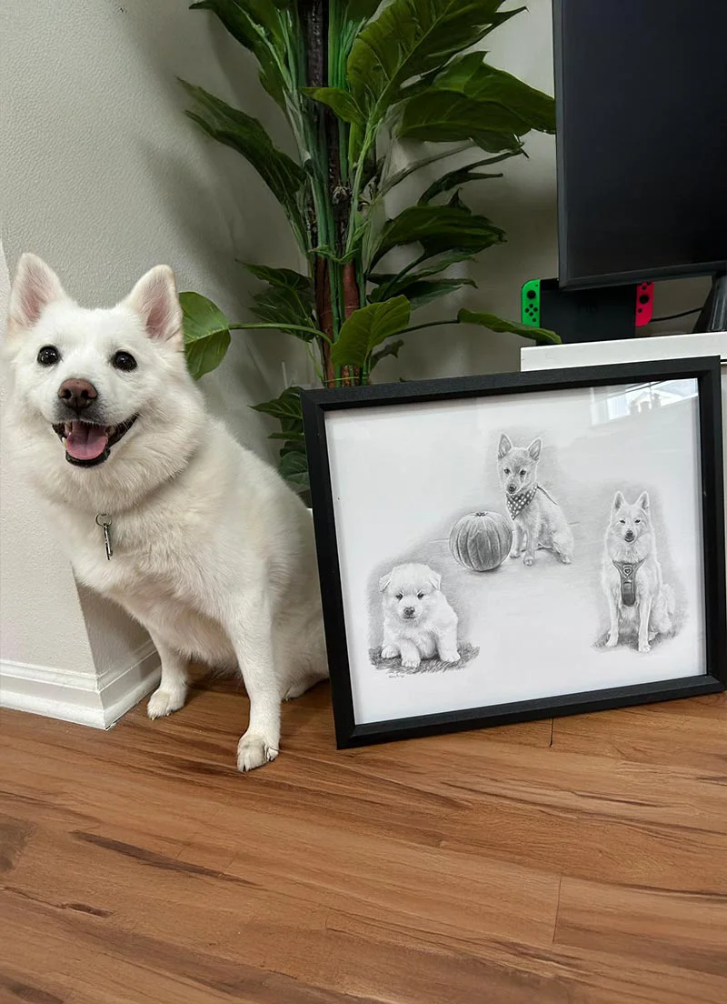 A classic Life Story Portrait of dog, cat, and horse portraits by Melanie Phillips, illustrating various poses and details.