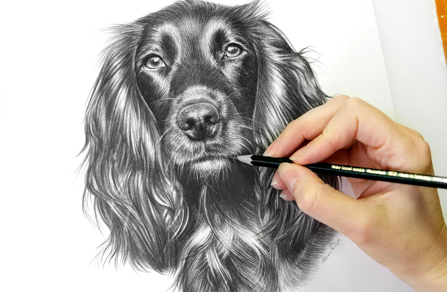 A close-up of a detailed pencil portrait in progress on Melanie's drawing board.