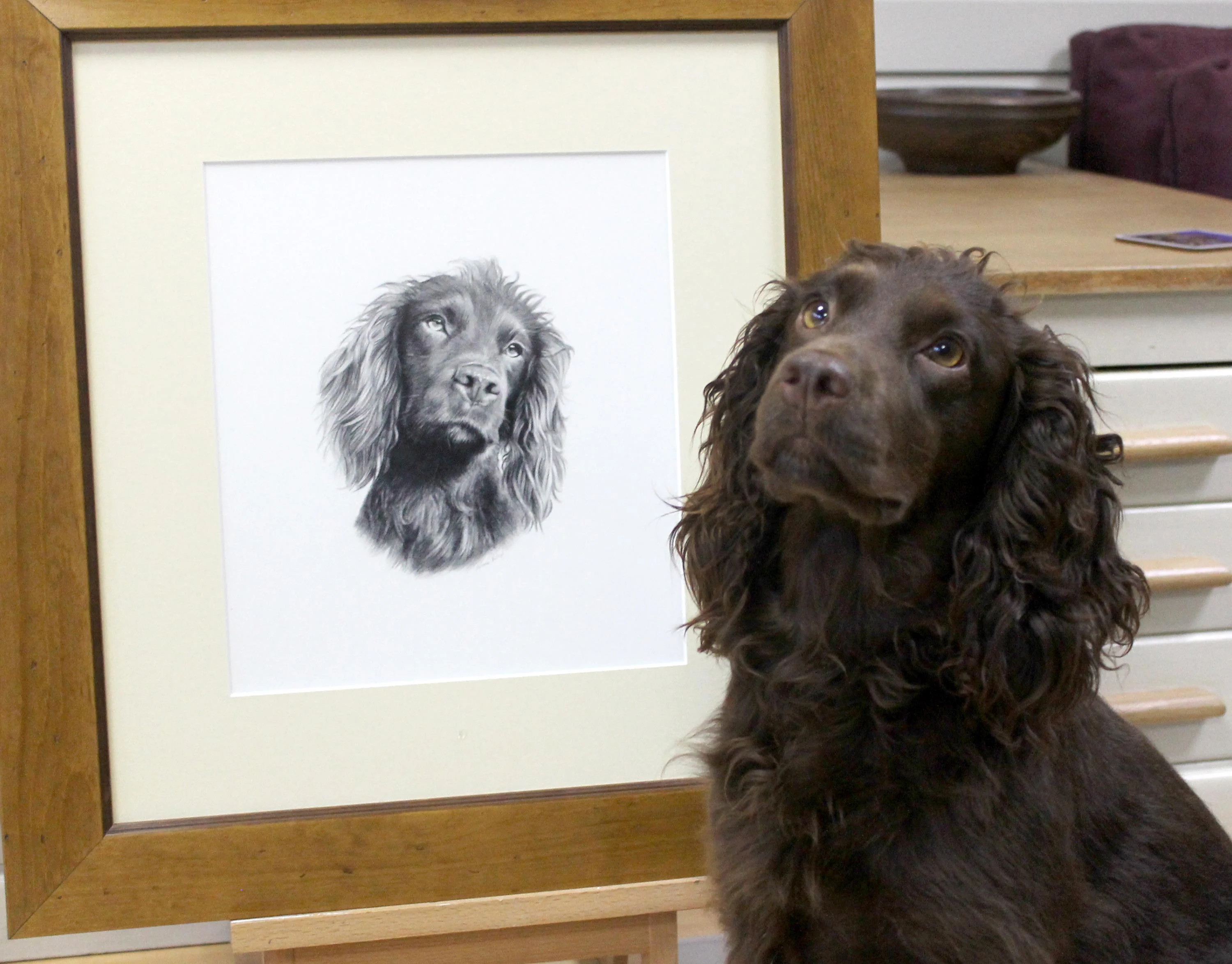 Moo the Cocker Spaniel posing next to her finished pencil portrait in the artist's studio.