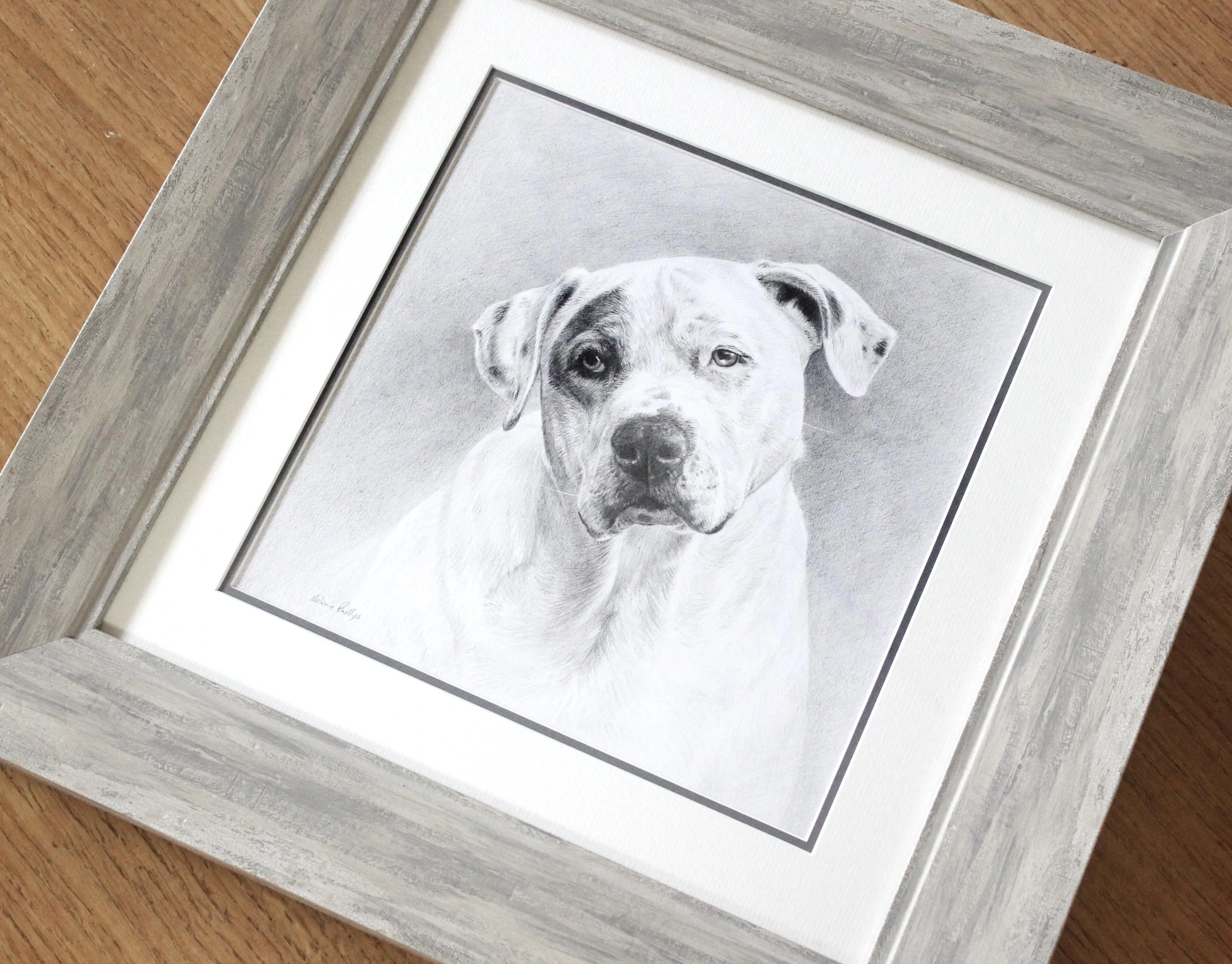 Another view of the framed pencil portrait of Kilo, showcasing its presentation.