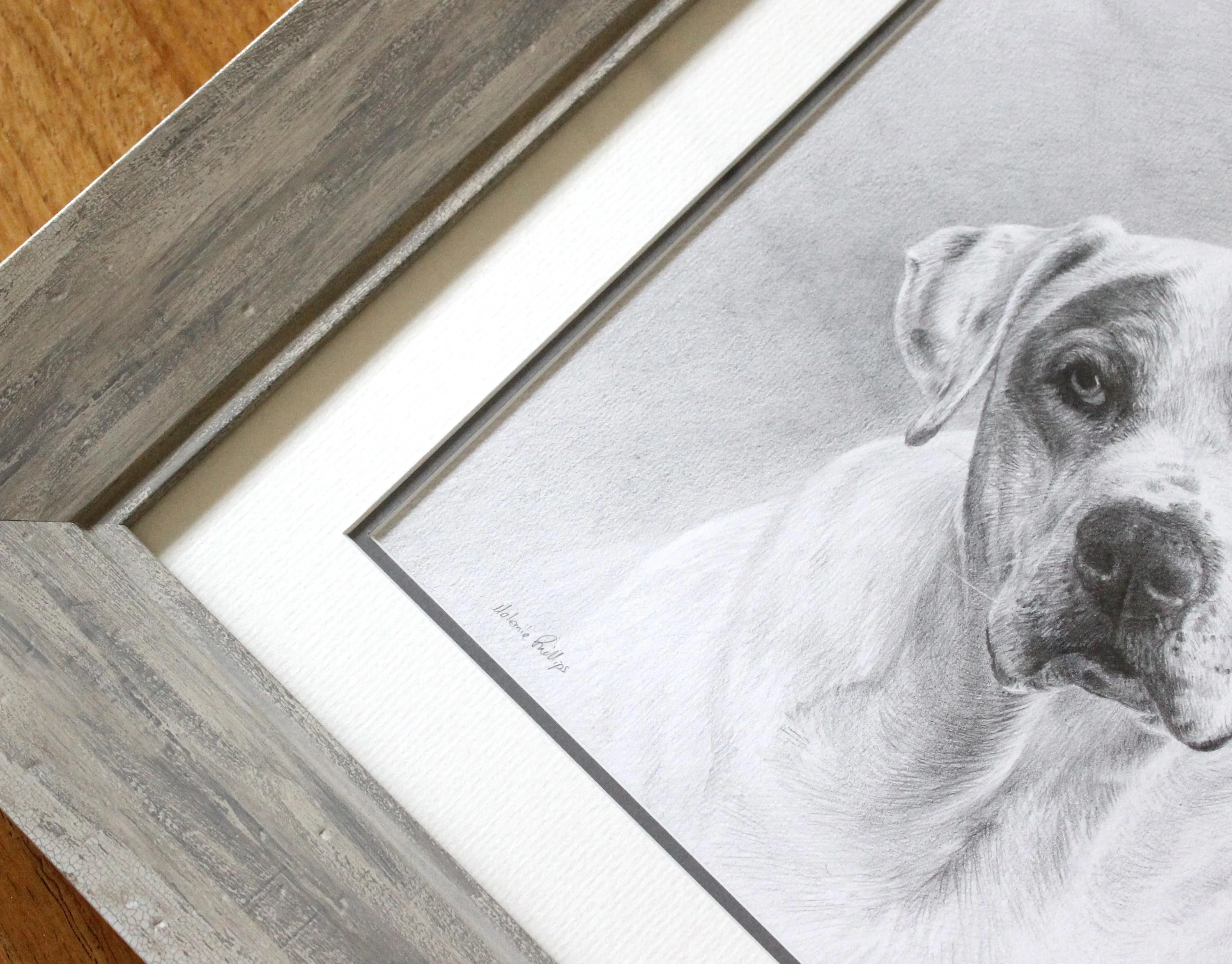 Close-up of the framed pencil portrait of Kilo, showing the artist's signature.