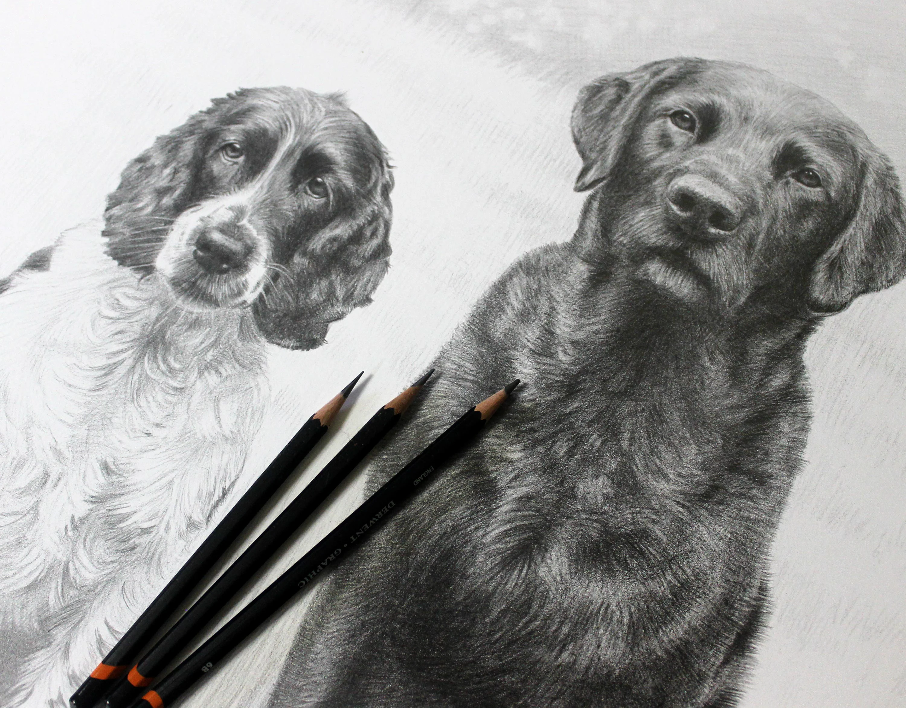Another close-up of the developing double pencil portrait of Stanley and Jarvis.