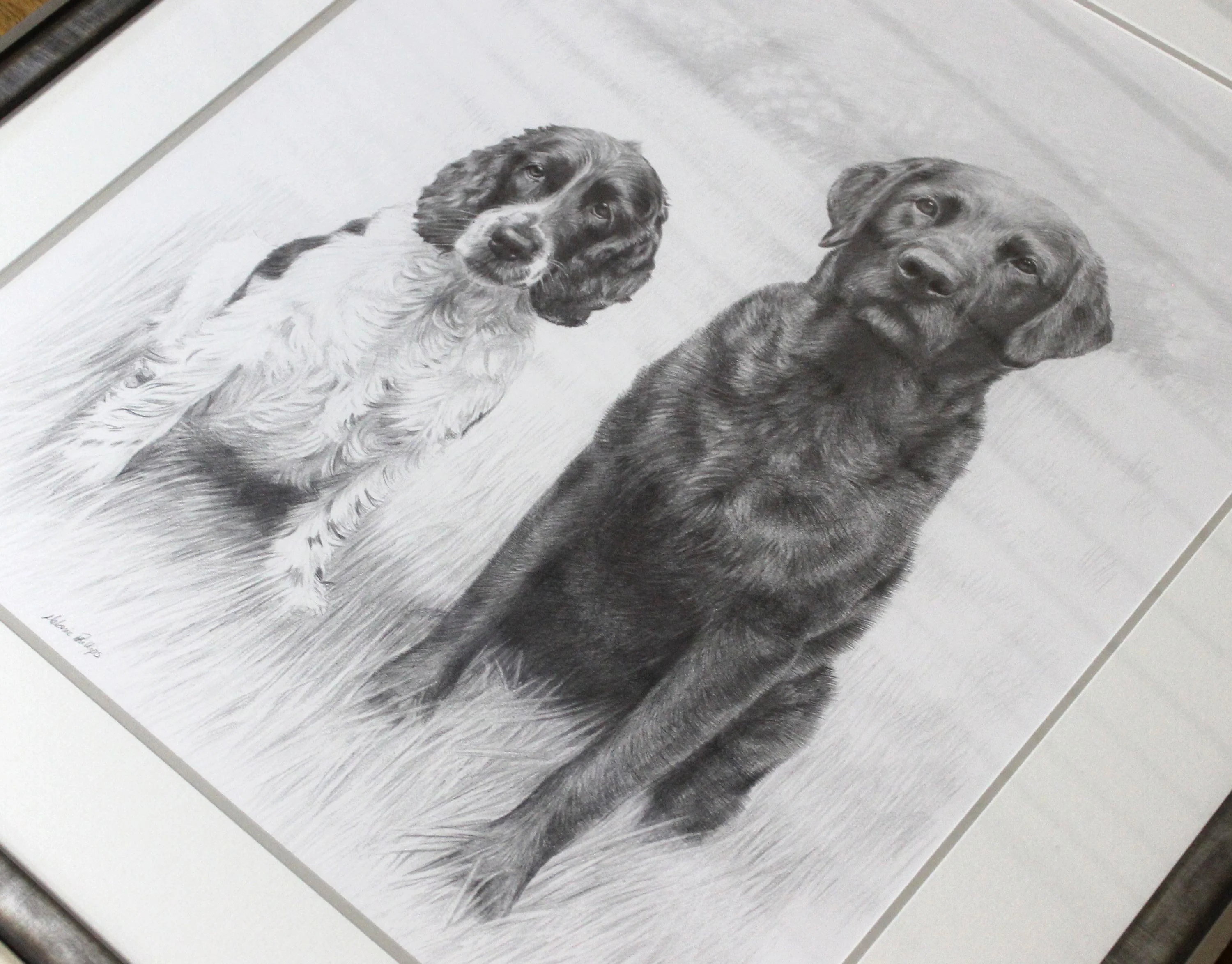 Close-up view of the finished double pencil portrait of Stanley and Jarvis.
