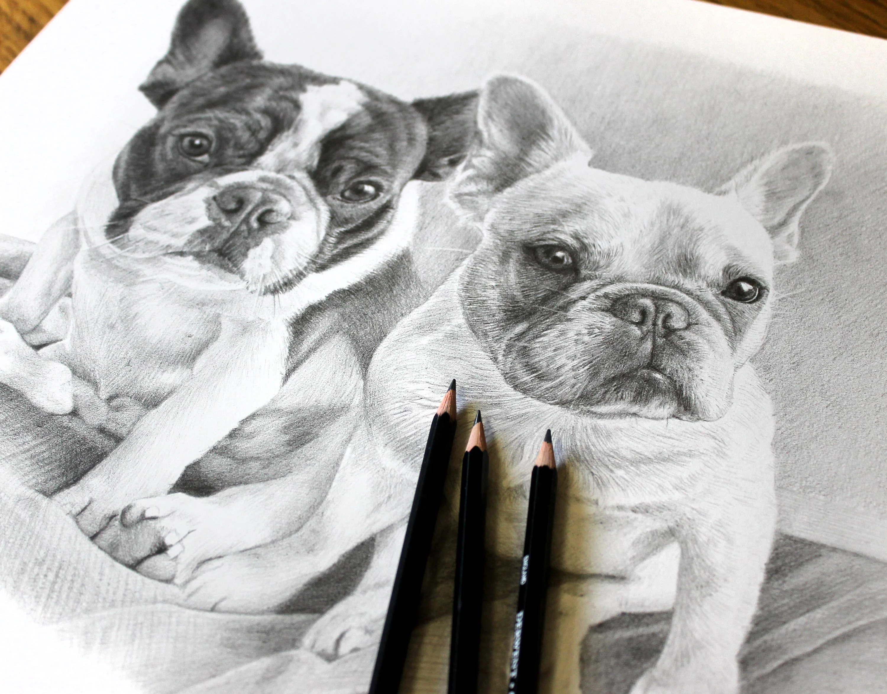 Close-up of the completed French Bulldog pencil portrait of Junji and Daisy, with artist's pencils in the foreground.