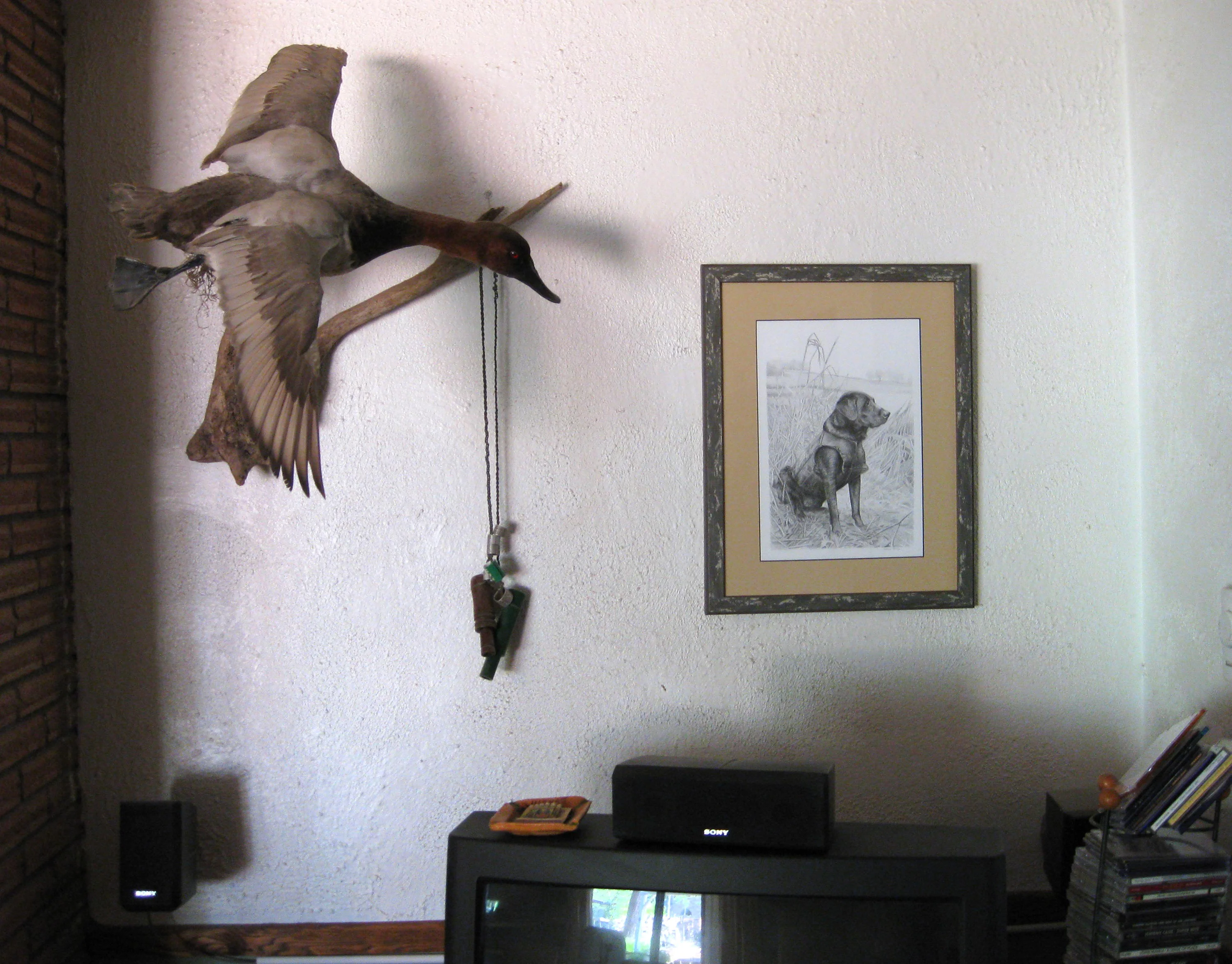 The finished pencil portrait of Kirby the Retriever, framed and displayed in a home setting.