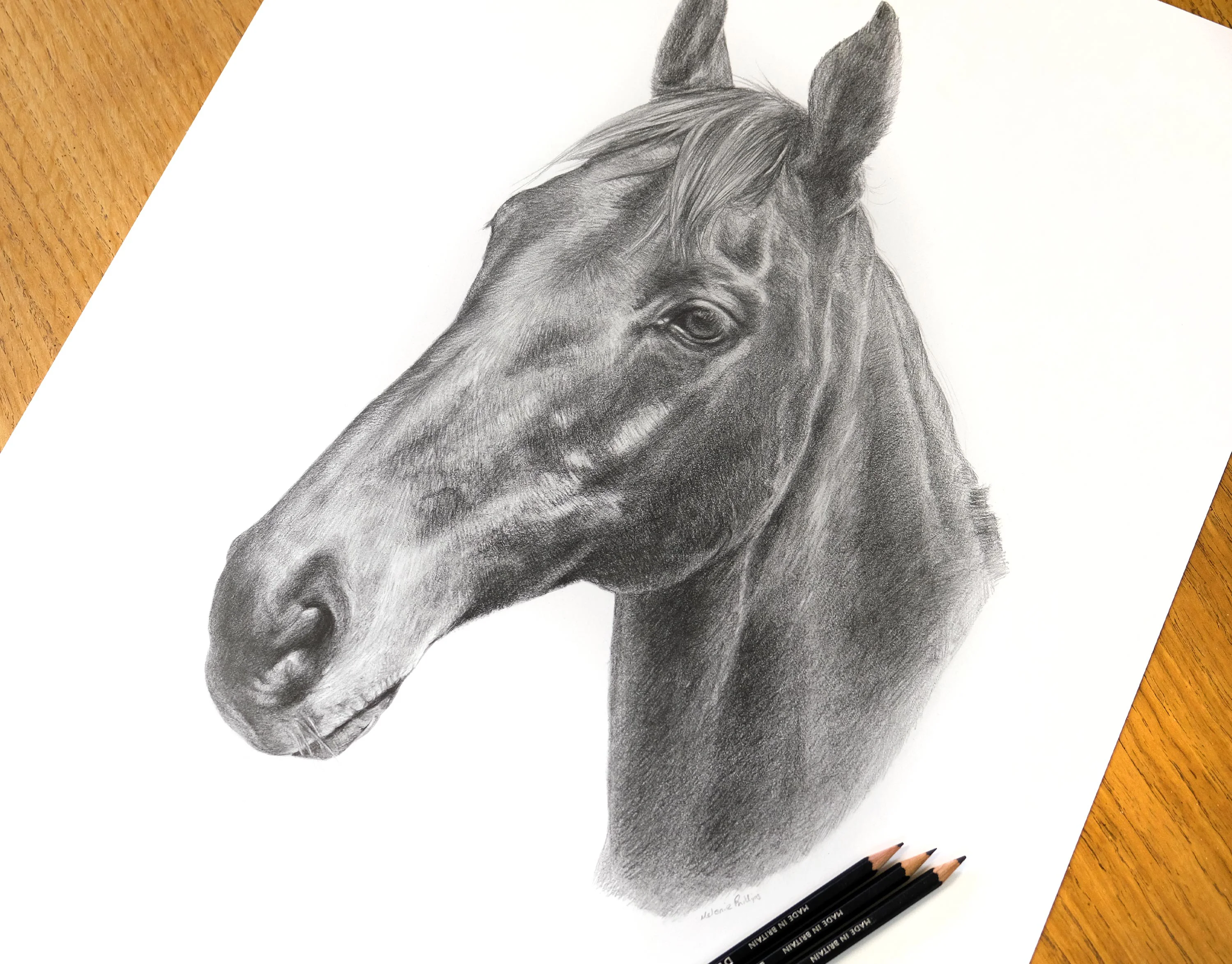 A close-up view of the completed pencil portrait of horse Duker, with drawing pencils in the foreground.