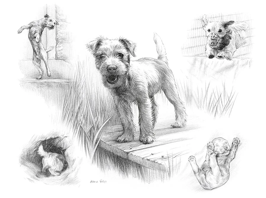 Life Story Portrait pencil portrait of Holden, a Jack Russell, capturing various aspects of his personality.