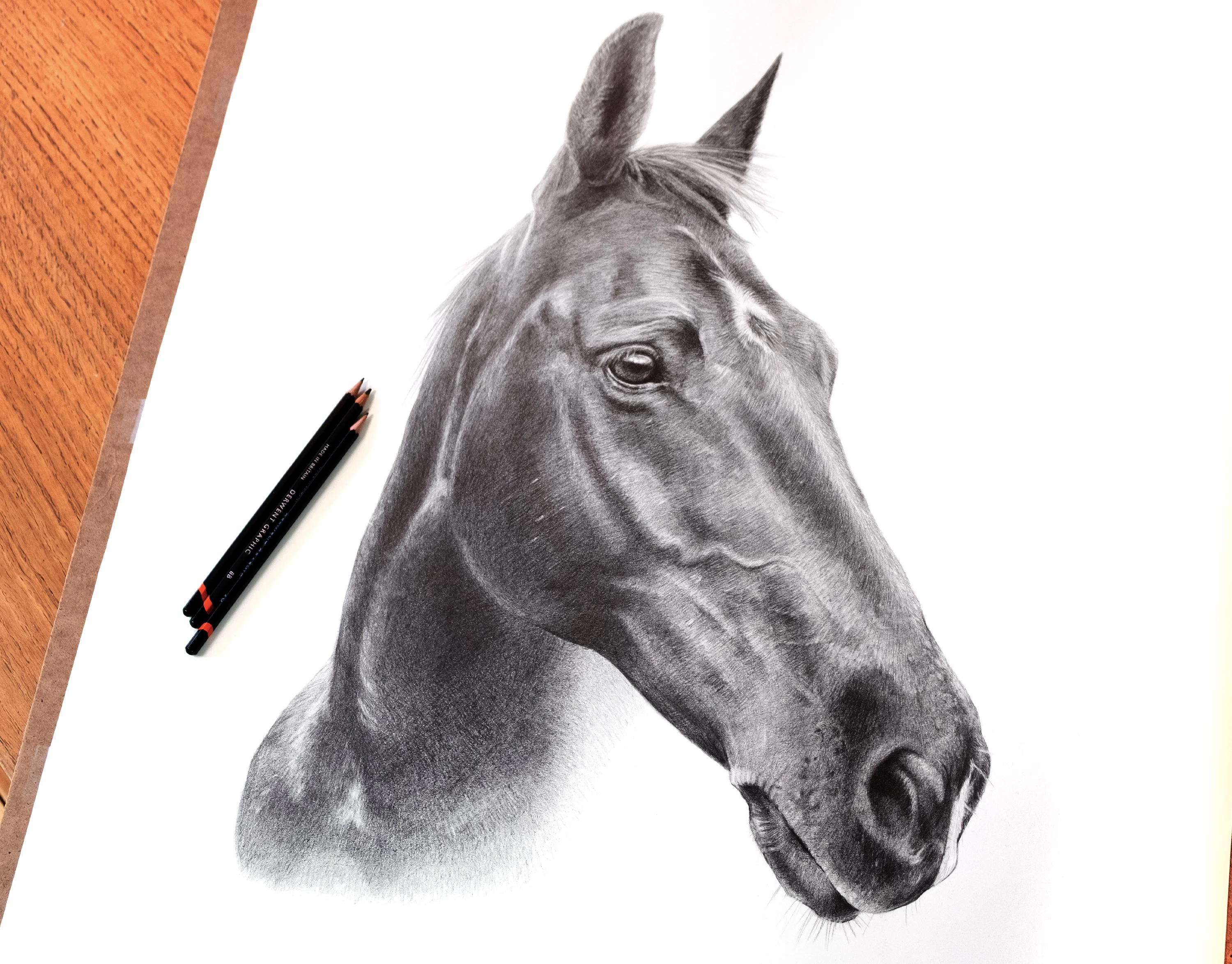 A close-up view of the detailed pencil drawing of Flash the horse.