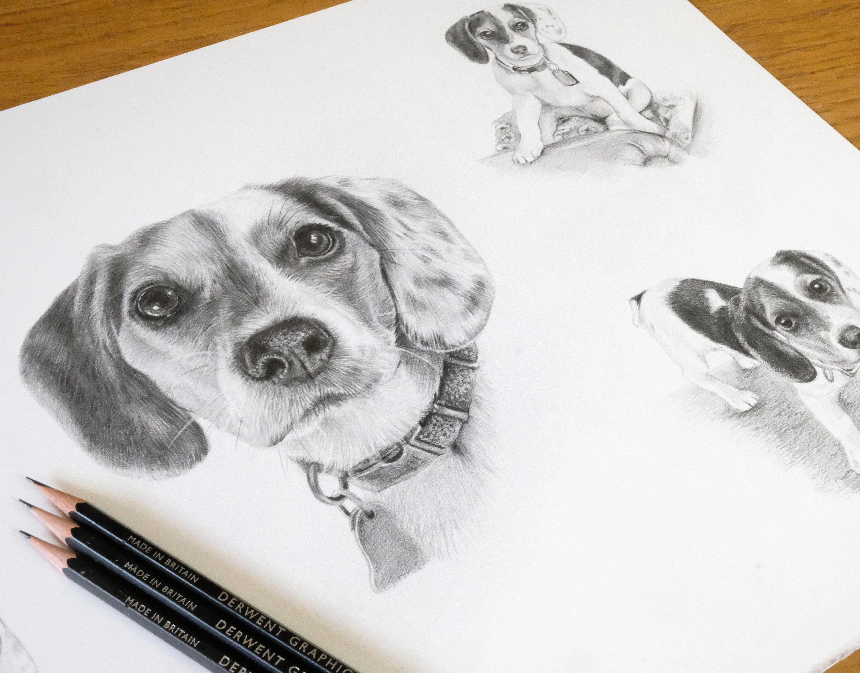 Vera the Beagle sitting beside her framed pencil portrait, looking happy.