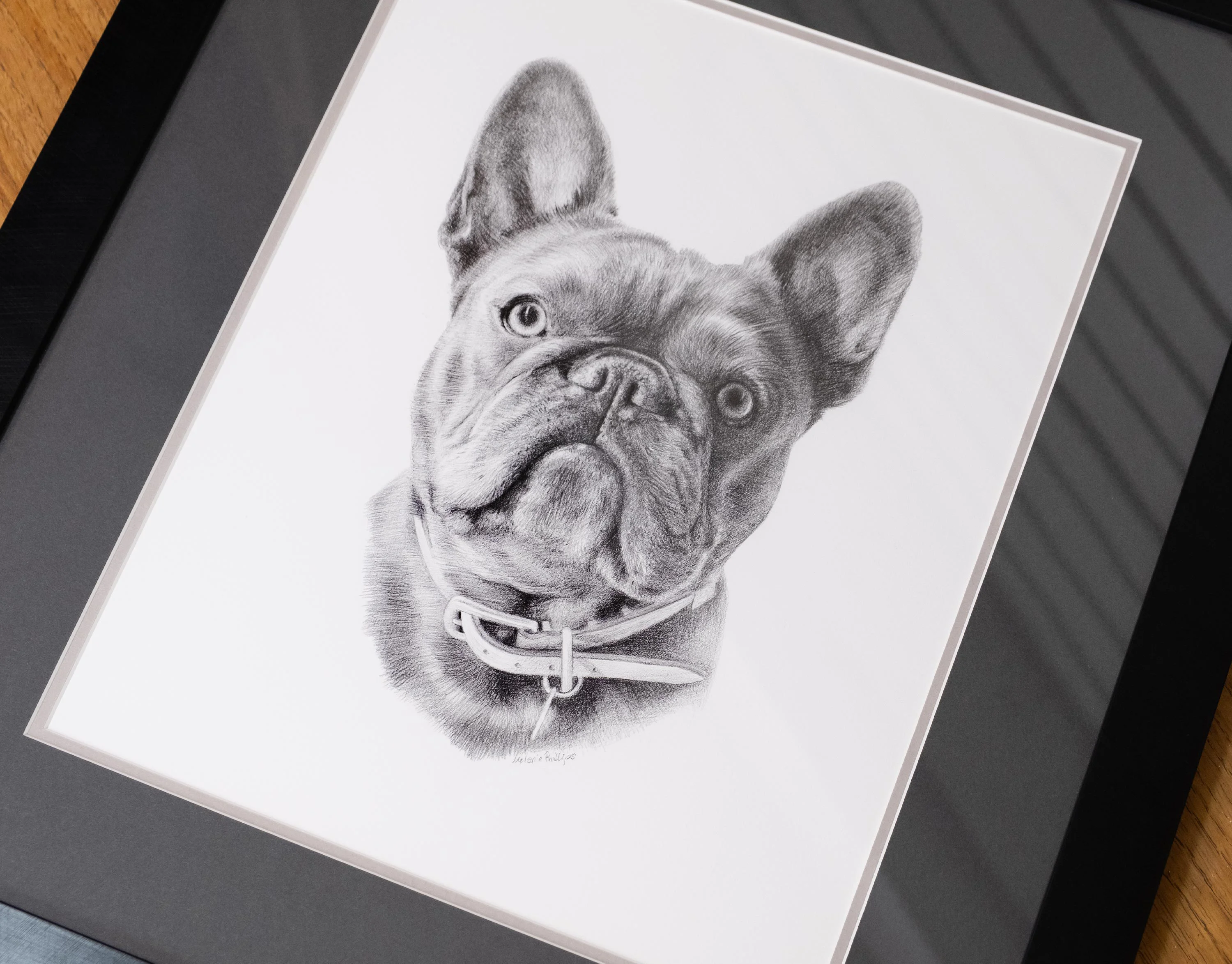 A French Bulldog's pencil portrait with a distinct Tiffany & Co. collar, highlighting the detailed drawing.