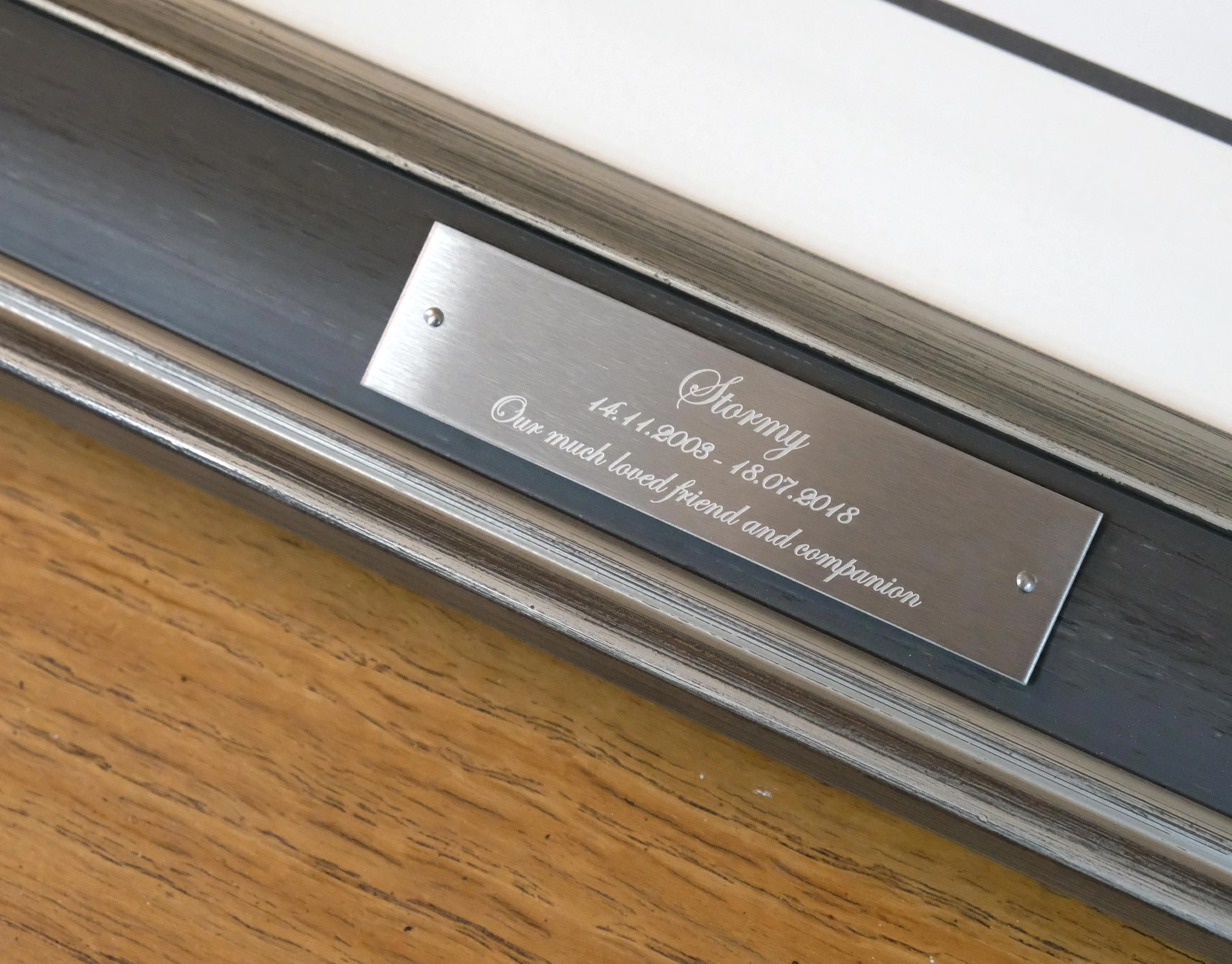 A close-up view of the framed pencil portrait of Stormy, highlighting the engraved plaque.